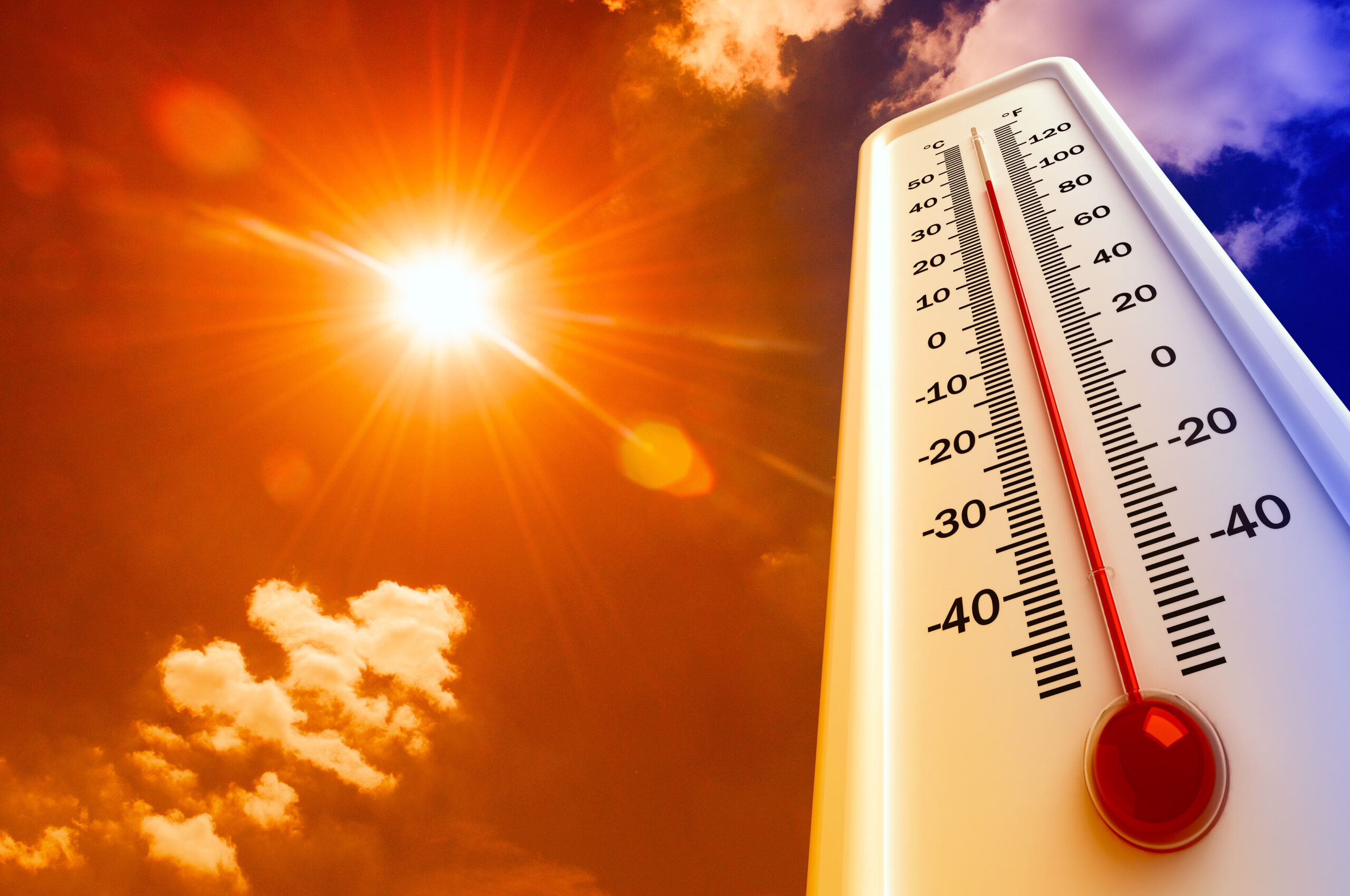Too hot to….Kill: il punto caldo della questione stress termico 