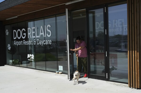 Fido conquista il cielo: dal volo in cabina ai relais dedicati
